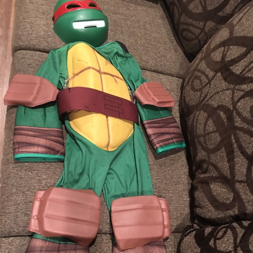 Ninja turtle costume